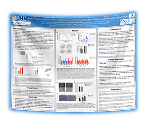 Fabric Research Poster Prince Edward Island - University of Prince Edward Island